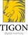 تایگون